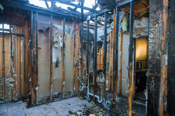 Professional Fire Damage Removal technician working in Highland, AR
